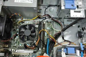 WhatsApp Image 2026-03-11 at 09.18.48 (3)